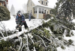 Gary Peterson uses a chainsaw to de-limb a large spruce tree that was toppled by strong winds during a snowstorm in Duluth