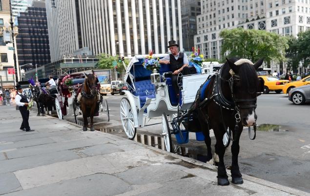 Should horses be off NYC streets? Looking at all sides of the issue.