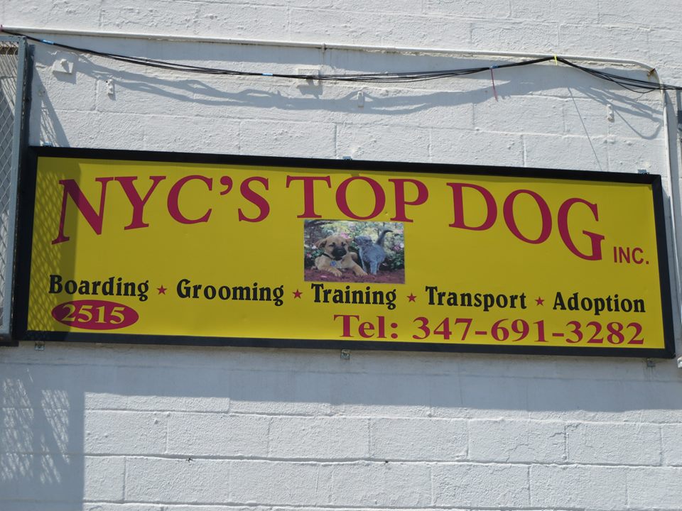 NYC’s Top Dog Fundraiser