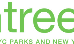 MillionTreesNYC/NYC Parks Fall Street Tree Planting Notification