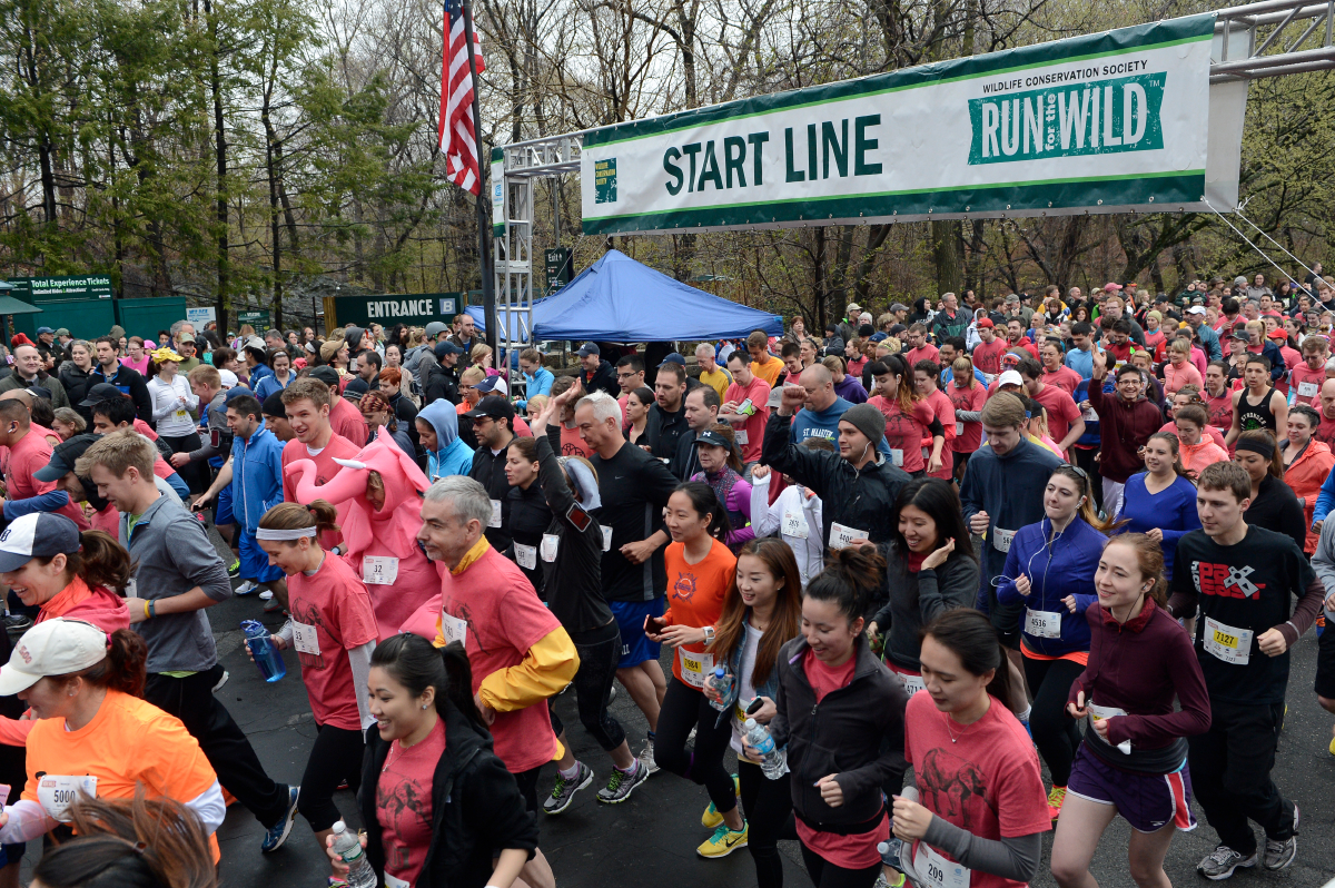 The Wildlife Conservation Society To Hold 7th Annual WCS Run for the