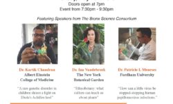 Pint of Science – Science Communication Event