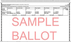 TODAY IS THE LAST DAY FOR WALK-IN VOTER REGISTRATION FOR 2/23 SPECIAL ELEX