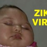 Zika Virus_Microencephaly