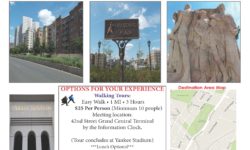 Want to Know More About The Bronx? Take a Tour!