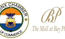 Bronx Chamber of Commerce Annual Business & Health Expo: Thursday, June 16
