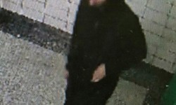 NYPD person of interest in Jessica White shooting. NYPD photo.