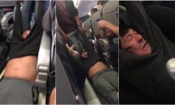 BLACK, LATINO, AND ASIAN CAUCUS DECRIES TREATMENT OF ASIAN-AMERICAN UNITED AIRLINES PASSENGER