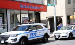 Police investigate an attempted bank robbery at the Bank of America on White Plains Road back on May 27