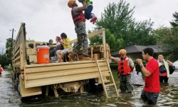APHIS Provides Animal Assistance in the Wake of Hurricane Harvey
