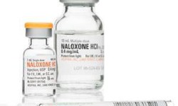 Senator Klein & Councilman Rafael Salamanca Jr. host Hunts Point Naloxone training on International Overdose Awareness Day