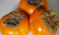 USDA Amends Regulations to Allow Importation of Fresh Persimmon with Calyxes from Japan