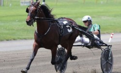 Resolve of the United States to Defend Title in $1 Million Yonkers International Trot on Saturday, October 14