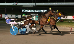 Canada’s Marion Marauder Accepts Invitation to $1 Million Yonkers International Trot