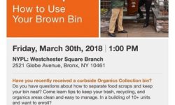 Community Workshop: How to Use Your Brown Bin – March 30