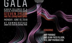 2018 City Parks Foundation Gala at SummerStage – June 18
