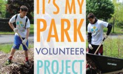 It’s My Park: Volunteer Days