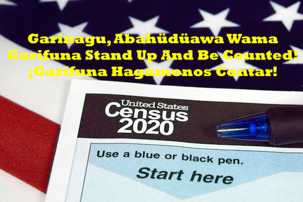 Census document form and ball point ink pen on American flag for 2020