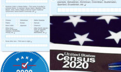 The Race and Ethnicity Dilemma Of The US Census