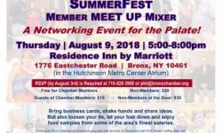 Bronx Chamber of Commerce SummerFest Networking Mixer: Thursday, August 9, 5-8pm at the Residence Inn in the Hutch Metro Center Atrium