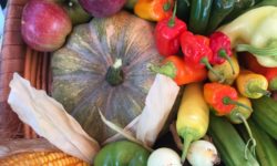 Annual Harvest Festival with Food, Music, Prizes, and Activities for Kids