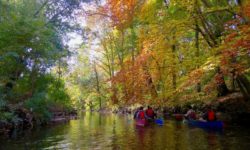 Paddle the River: NYBG Fall Forest Weekend – November 3rd and 4th
