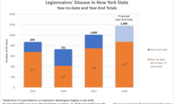 Outbreak of Legionnaires’ Disease Cases in New York State