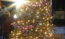 The lit Morris Park Christmas tree.