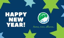 Ring in the New Year with the Alliance!     