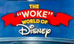 How being woke cost Disney billions!